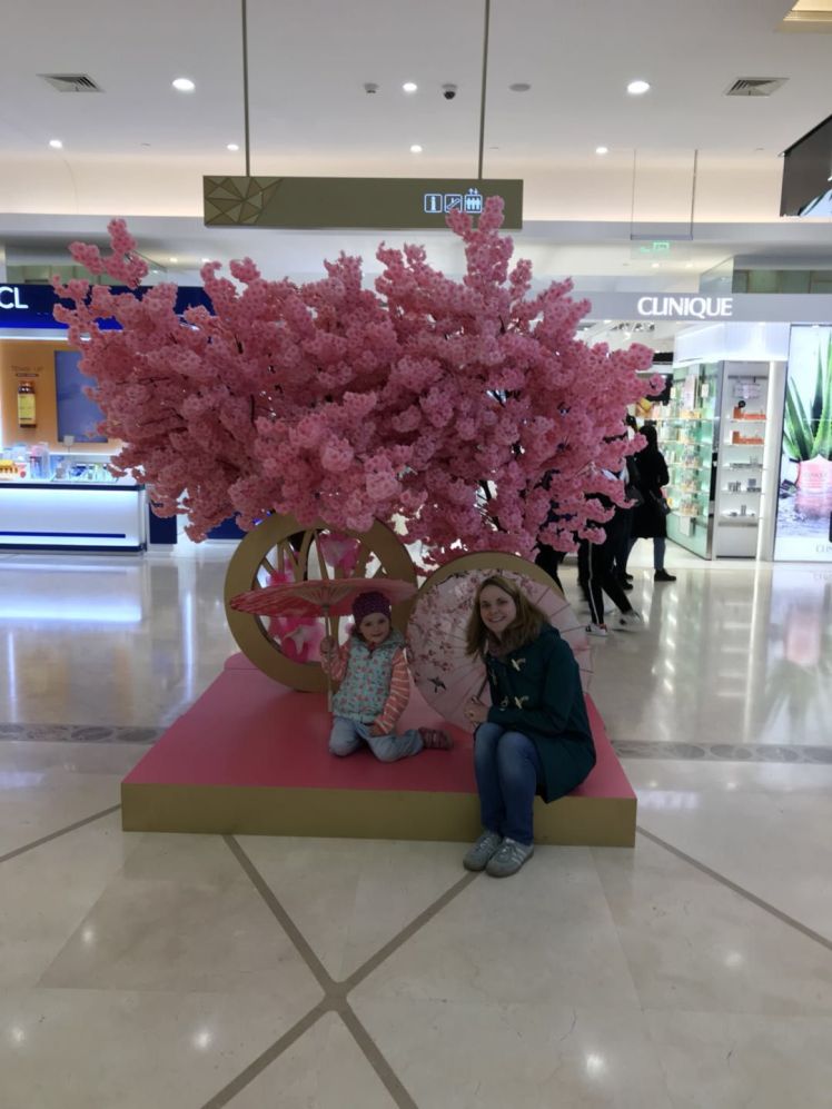 mmexport1523720729338