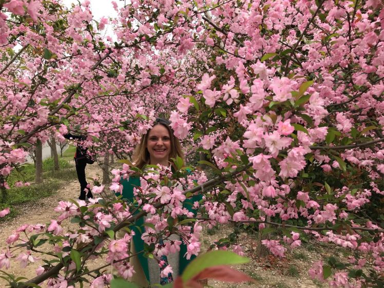 mmexport1554357751374